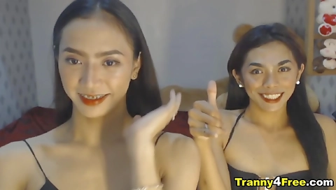 Sexy shemale with tiny tits gets double fucked in a webcam